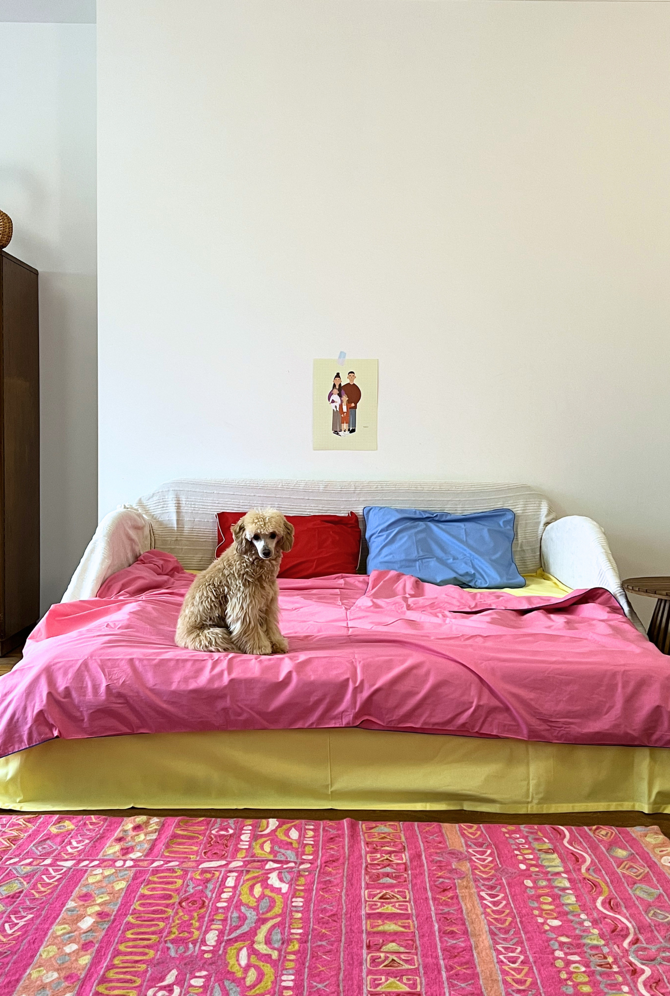 Dog on a bed with pink bedding and colorful rug in a bedroom.