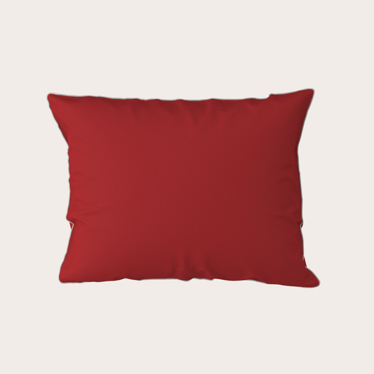Red pillow on a light gray background